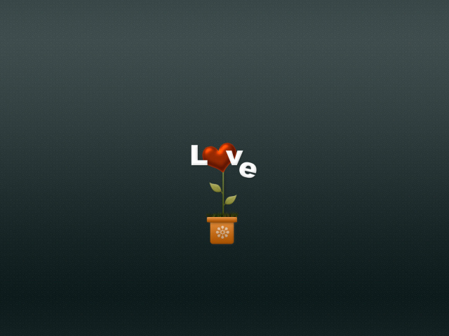 Цветок любви