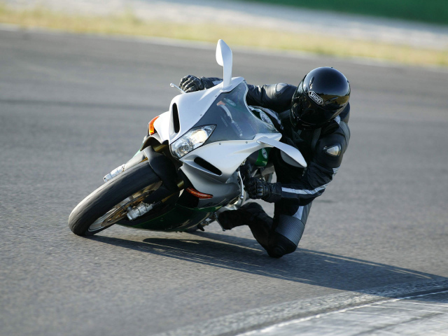 Элитные гонки