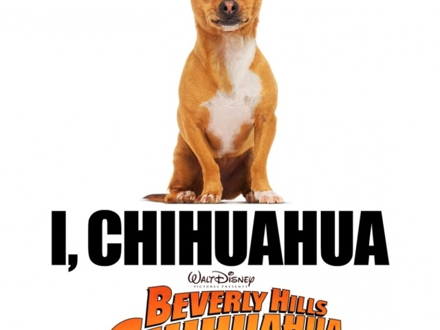 Крошка из Беверли-Хиллз / Beverly Hills Chihuahua