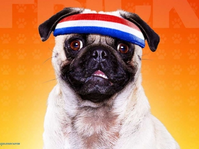 Отель для собак / Hotel for Dogs 2009