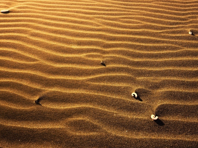 Пляжный песок