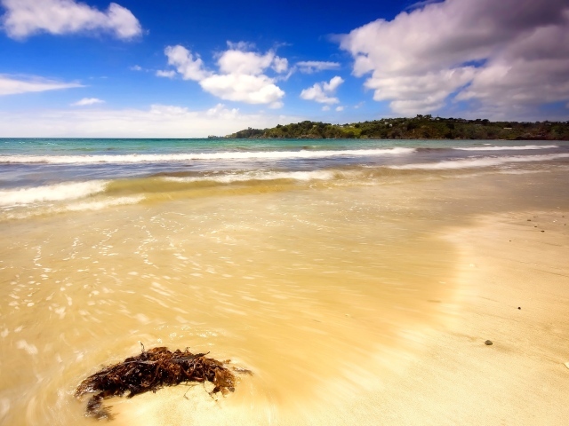 Летний день на пляже