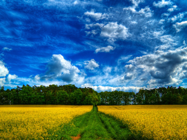 Сказочное небо