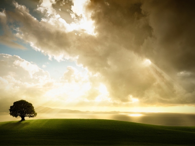 Приближающаяся буря