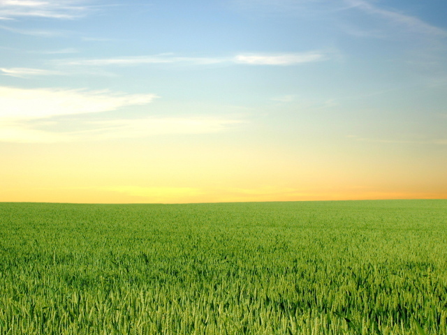 Зеленый горизонт