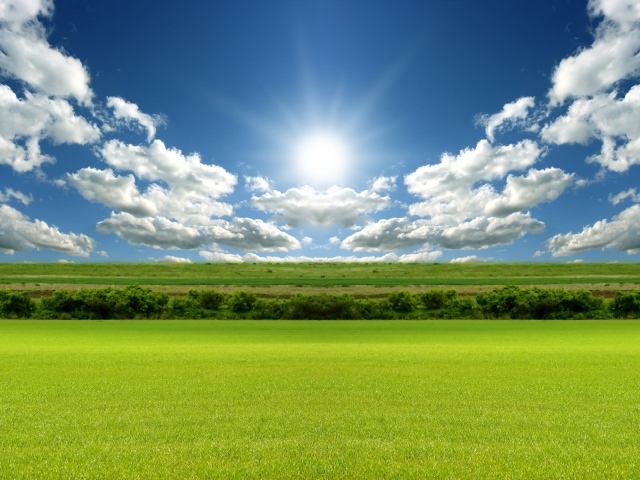 Зеленое поле под лазурным небом