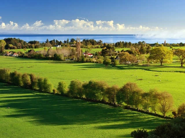 Утро в деревне