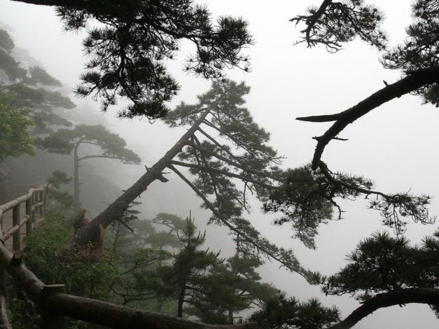 Горная дорожка