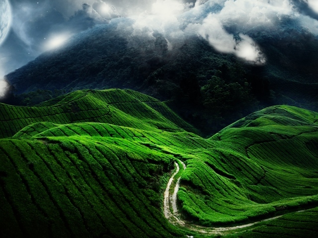 Красивые зеленые холмы