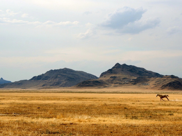 Дикий Запад