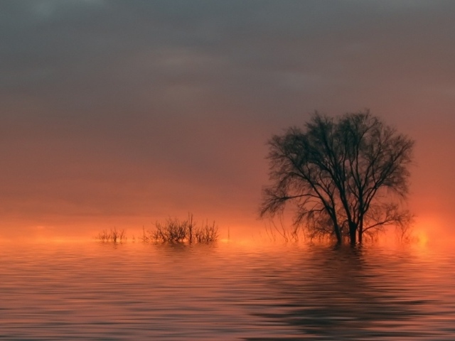 Наводнение