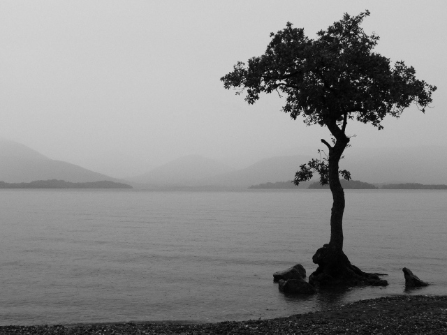 Туманное озеро