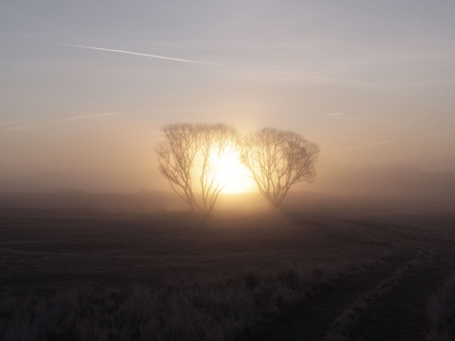 Морозное утро