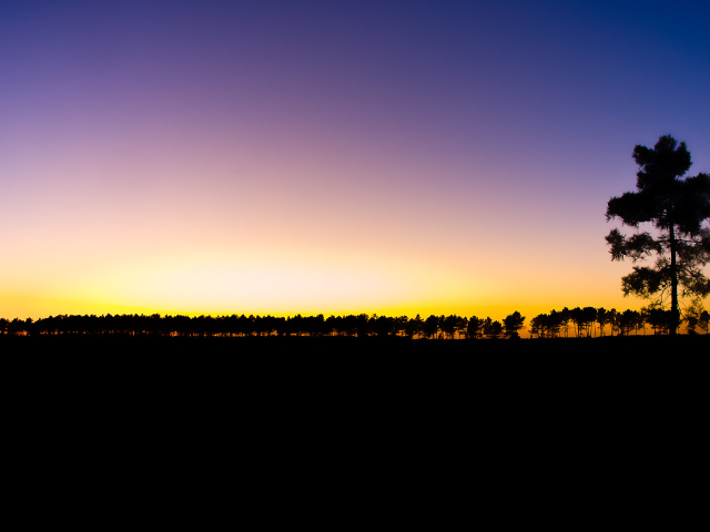 Последний луч света