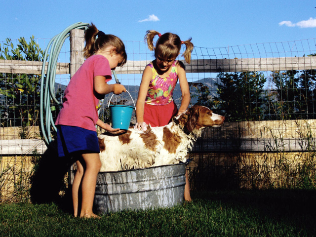 Дети с собакой