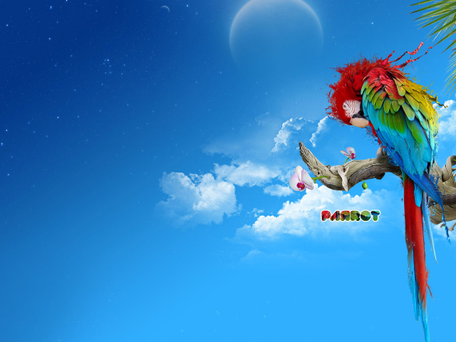 Яркий попугай