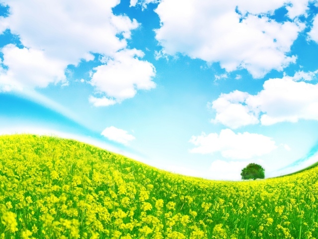 Крутая полянка