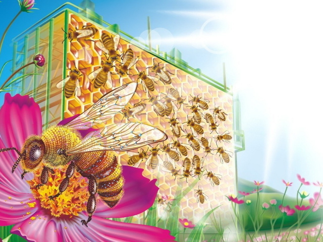 Медовый дом