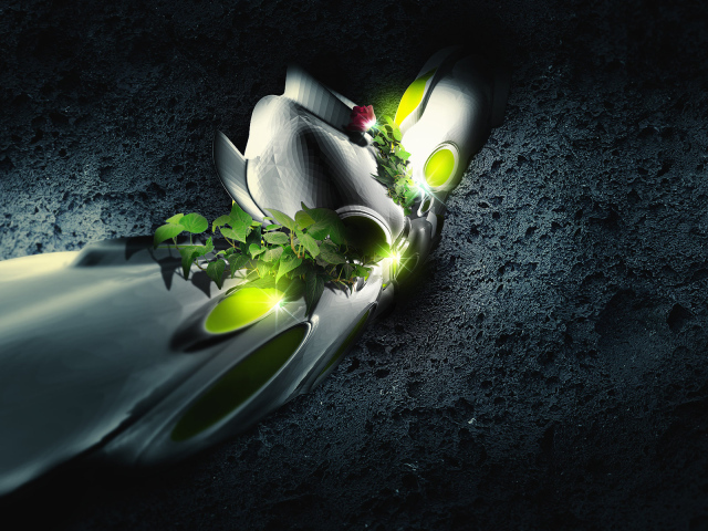 Проросшая роза