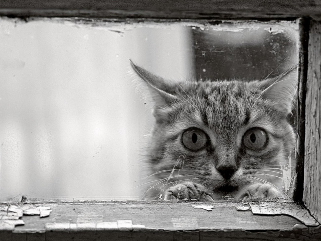 Возле окошка