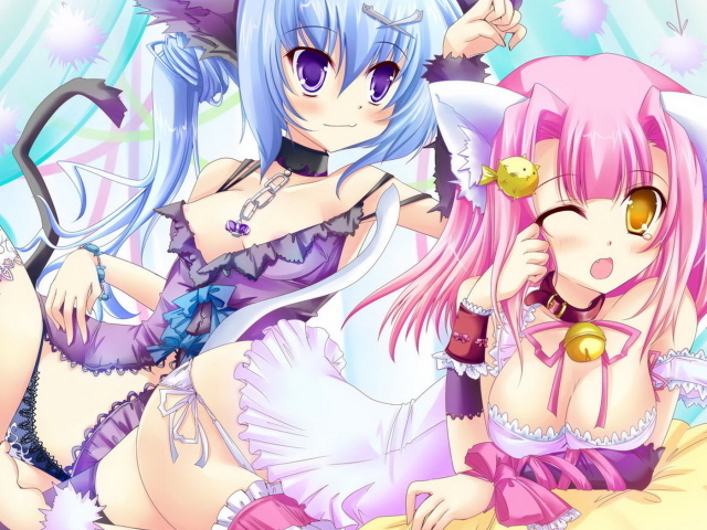 Парочка кошечек