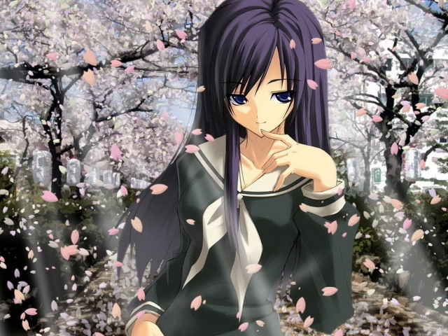 В цвете сакуры