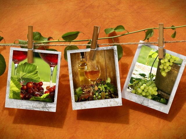 Фотографии