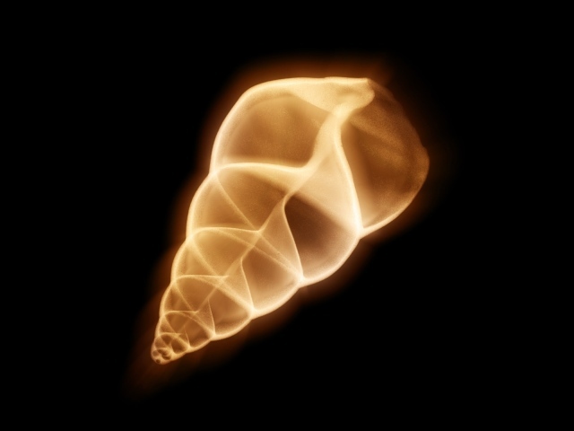 Микро сканер