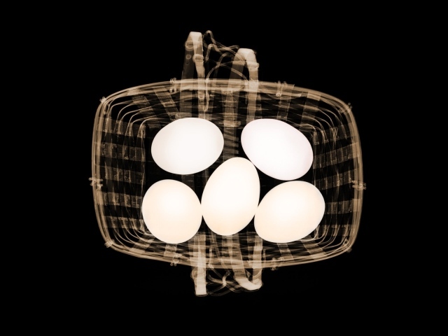 Сканер сумки