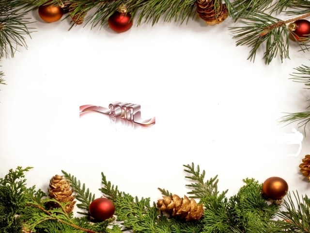 Новый Год 2011