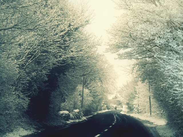 Дорога через зимний лес