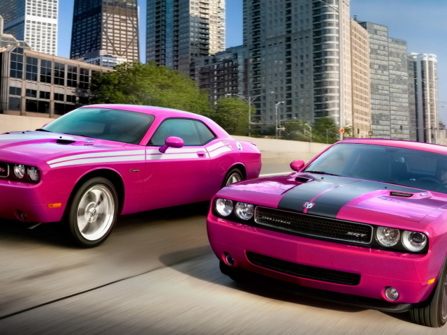 Dodge Challenger SRT8-RT Classic