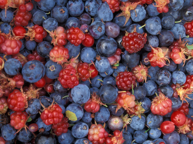 Лесное ассорти