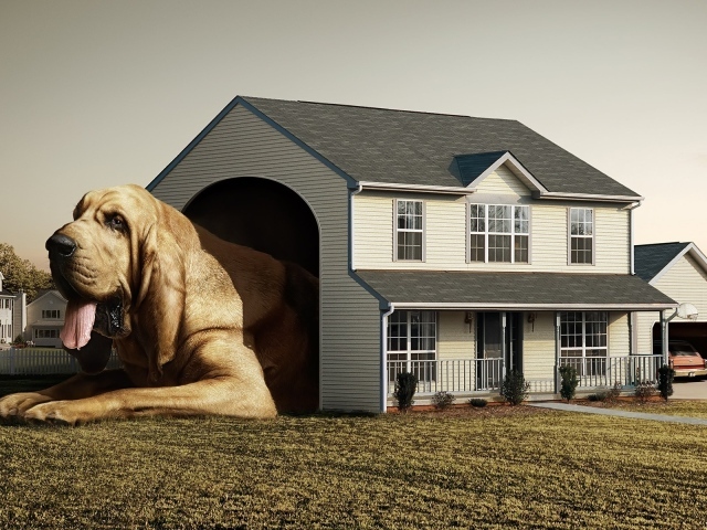 Дом для собаки Будка Конура