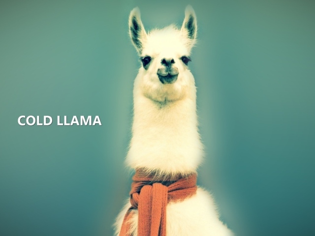 Лама в шарфе