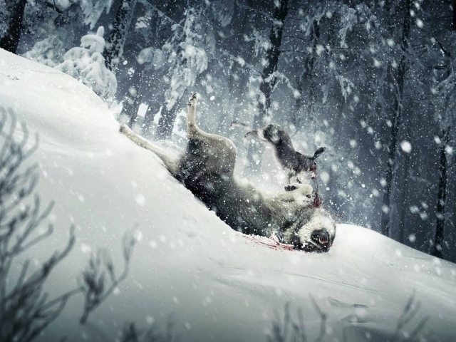 Взбесившийся кролик