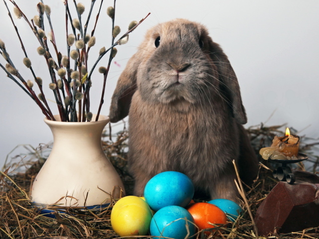 Пасхальный кролик