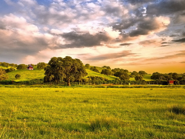 Зеленые просторы