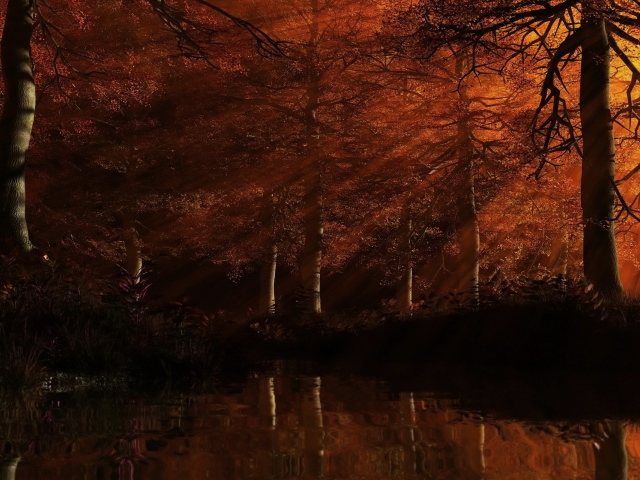 Рыжий лес на закате