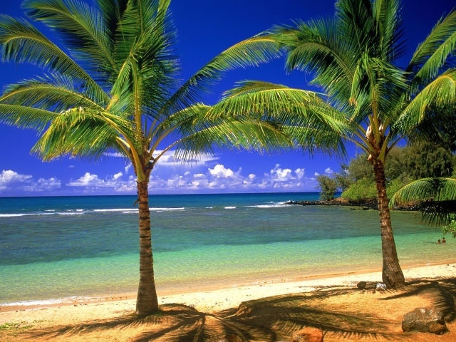 Пальмы, остров, пляж