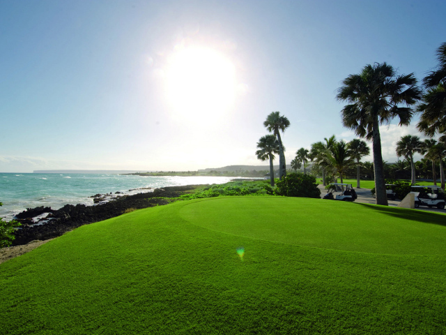 Поля для гольфа