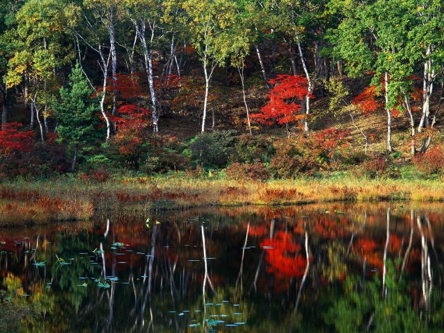 Пейзаж осени