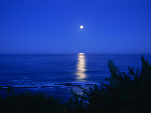 Лунная дорожка