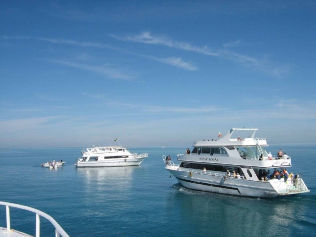 Яхты в Красном море Египет