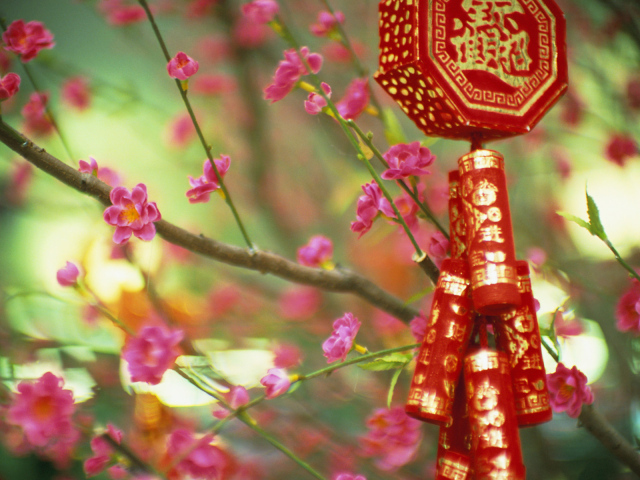 Цветущие растения в Китае