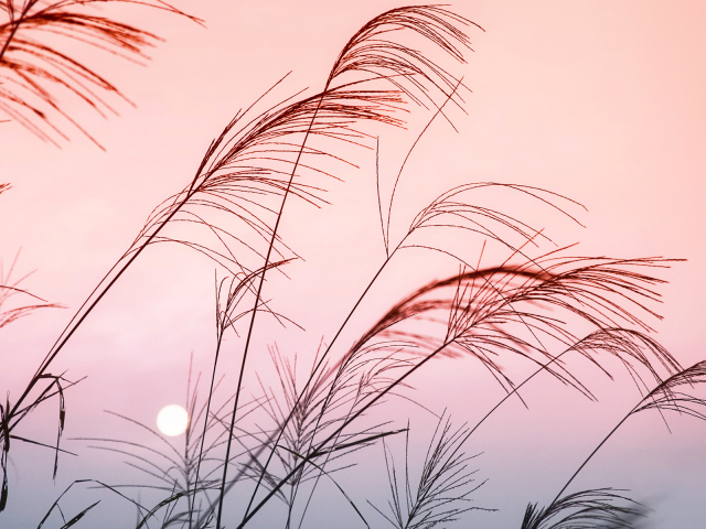 Солнечный закат в Китае