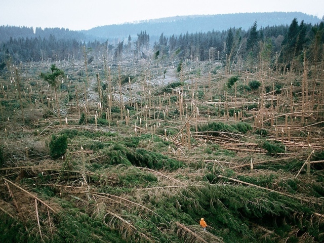 После урагана во Франции
