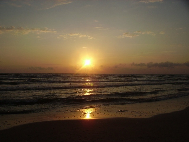 Паланга Балтийское море