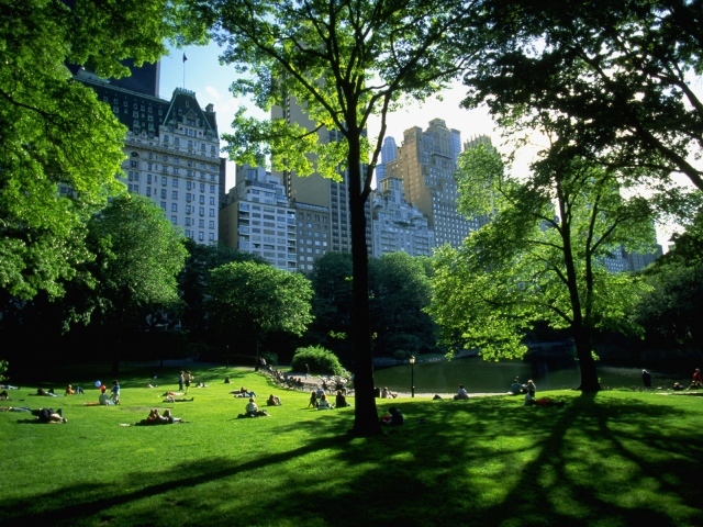 Центральный парк NY