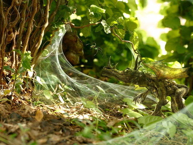 Маленький дракон